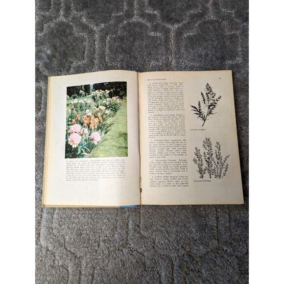 Picture Book of Perennials by Irene Nehrling and Arno Nehrling (Hardcover) 1964 - Picture 2 of 10